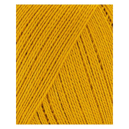 Phil Perle 5 Tournesol