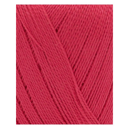 Phil Perle 5 Framboise