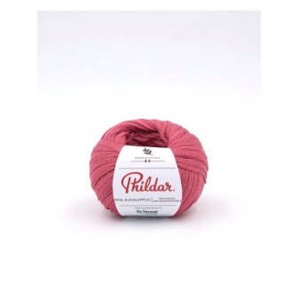 Breiwol Phildar Phil Eucalyptus Rose des sables
