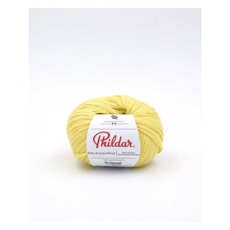 Breiwol Phildar Phil Eucalyptus Zeste