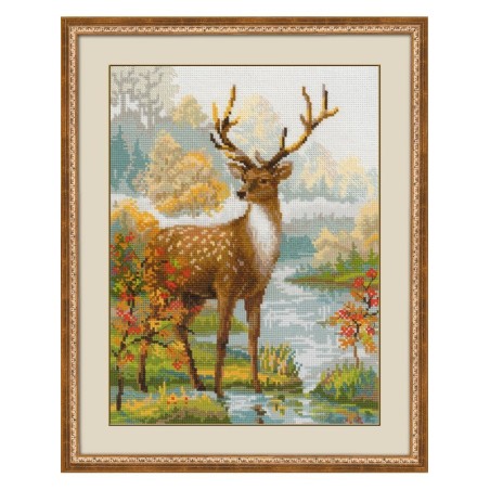 Riolis Stickset Reh
