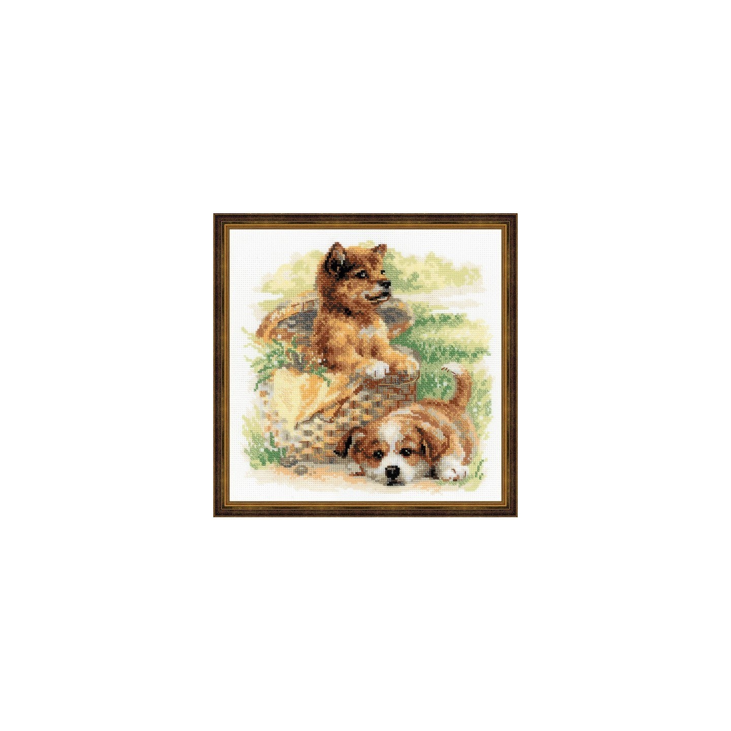 Riolis Kit de broderie Âge tendre