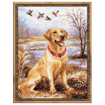 Riolis Stickset Labrador