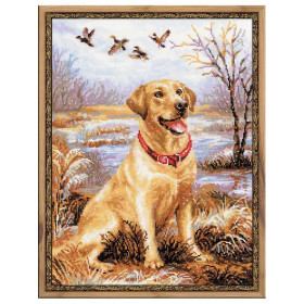 Riolis Stickset Labrador
