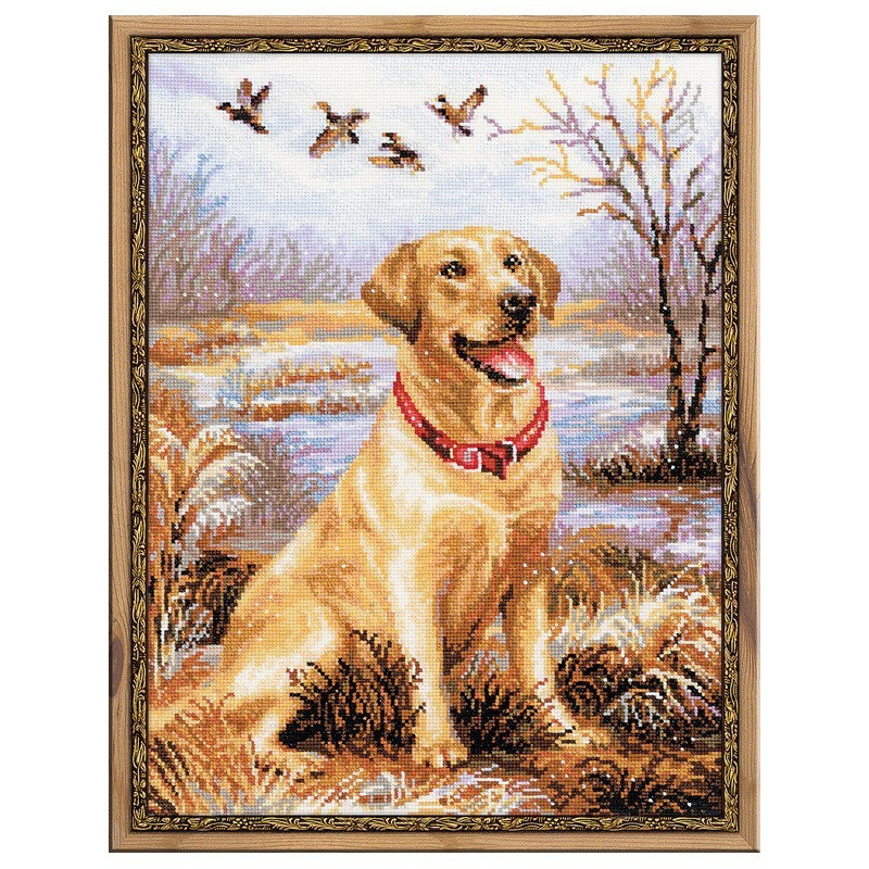 Kit de broderie Labrador Kit de broderie Labrador