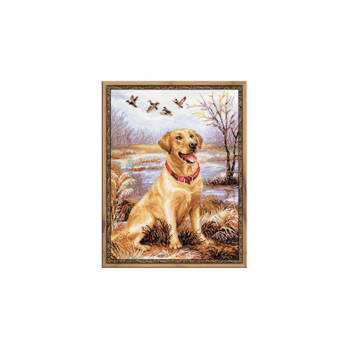 Riolis Stickset Labrador