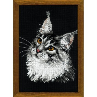 Riolis Borduurpakket Maine Coon