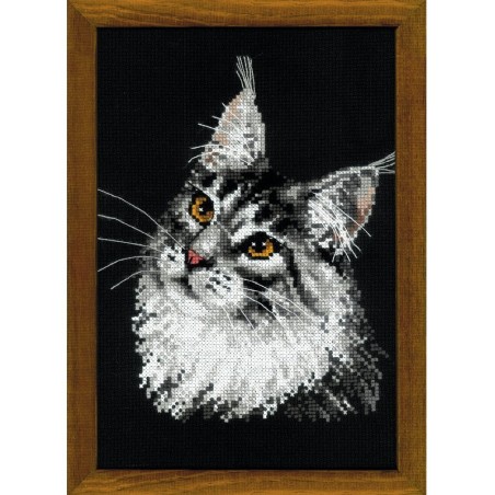 Kit de broderie Coon Maine