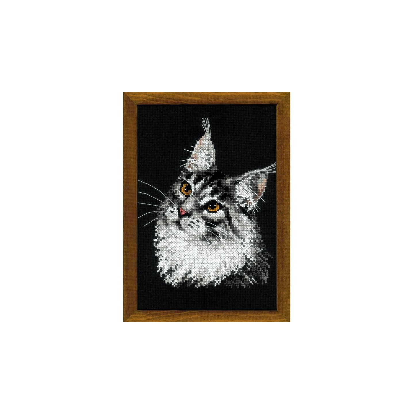 Riolis Stickset Amerikanische Waldkatze