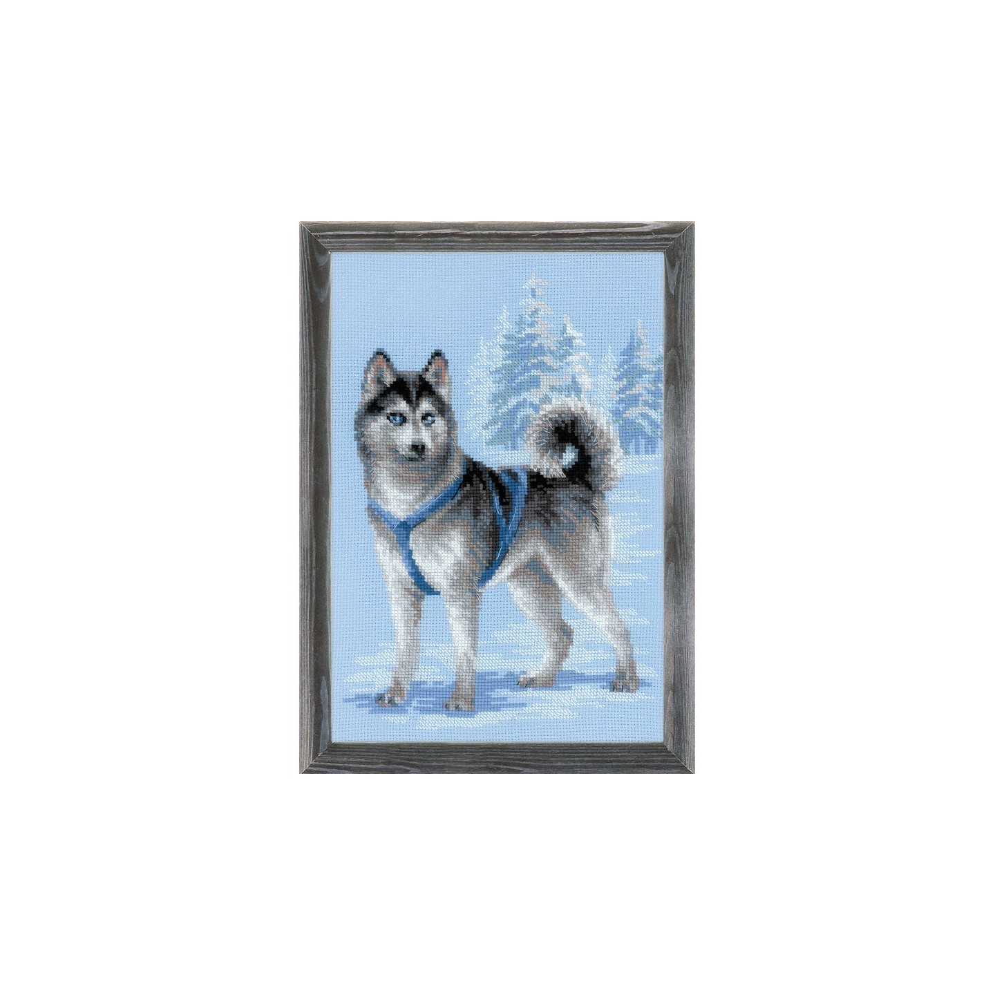 Riolis Stickset Husky
