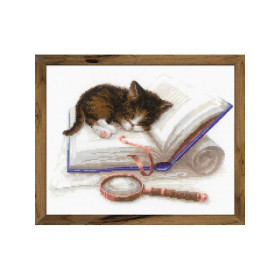 Embroidery kit Kitten on the Book Embroidery kit Kitten on the Book