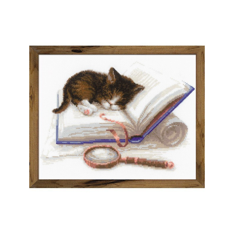 Embroidery kit Kitten on the Book Embroidery kit Kitten on the Book