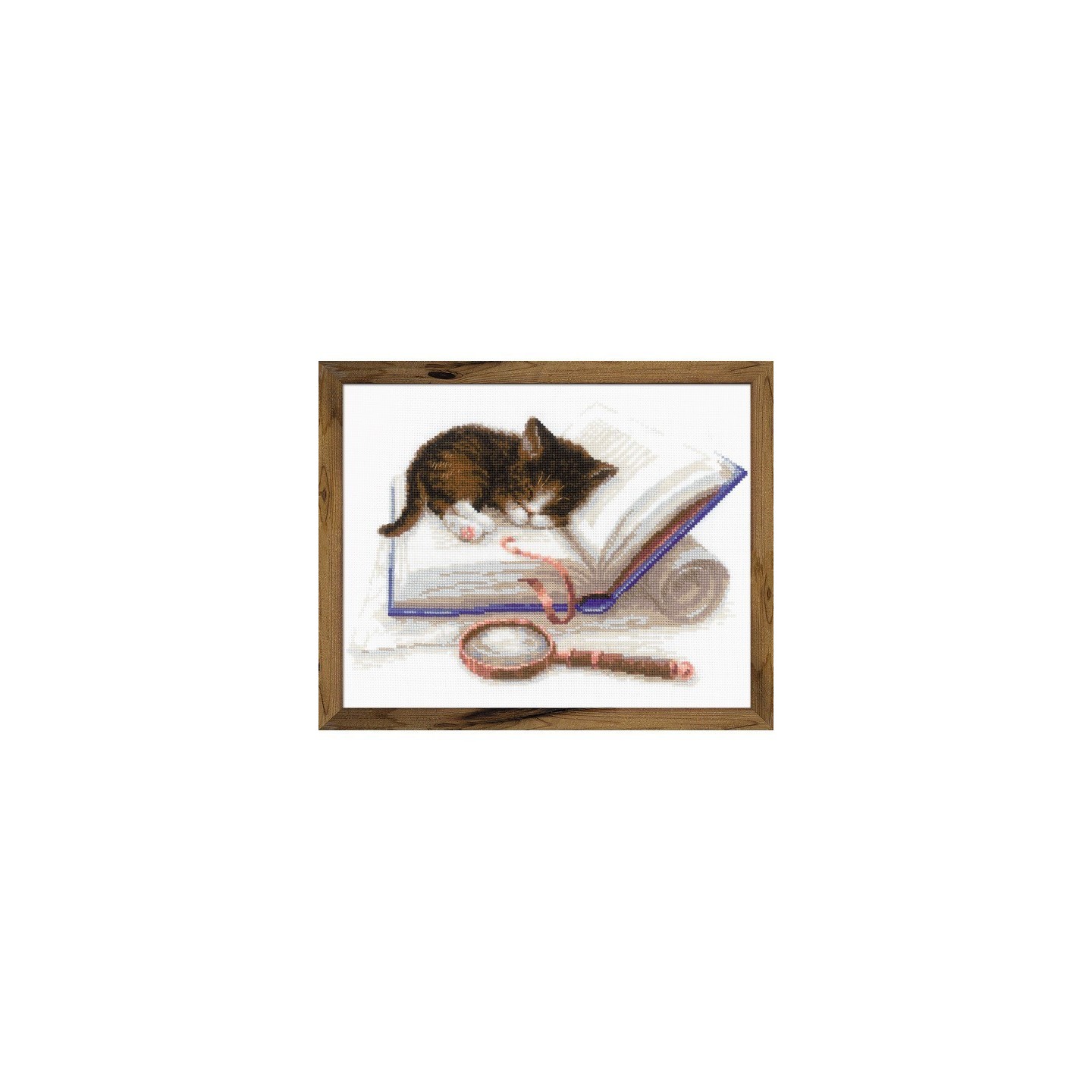 Riolis Embroidery kit Kitten on the Book