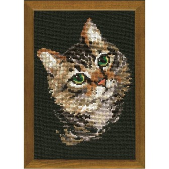 Riolis Stickset Graue Katze