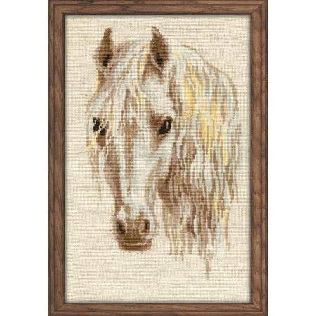 Riolis Embroidery kit Moon