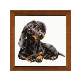 Riolis Embroidery kit Dachshund