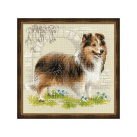 Borduurpakket Sheltie Borduurpakket Sheltie