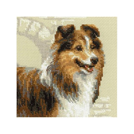 Embroidery kit Sheltie