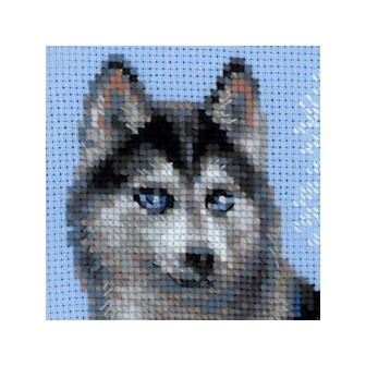 Riolis Borduurpakket Husky
