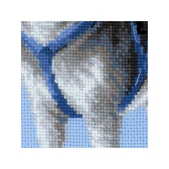 Riolis Embroidery kit Husky