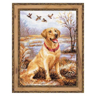 Riolis Borduurpakket Labrador