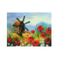 Aida imprimée Coquelicots sensuels