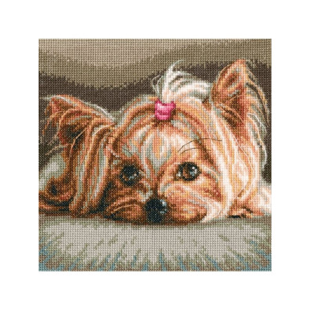 RTO Embroidery kit Pet