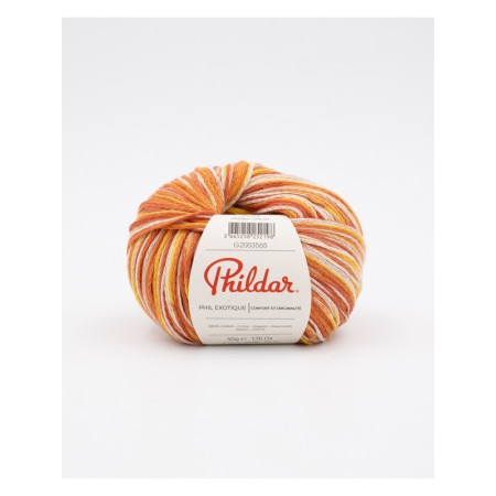 Knitting yarn Phildar Phil Exotique Savane