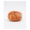Knitting yarn Phildar Phil Exotique Savane