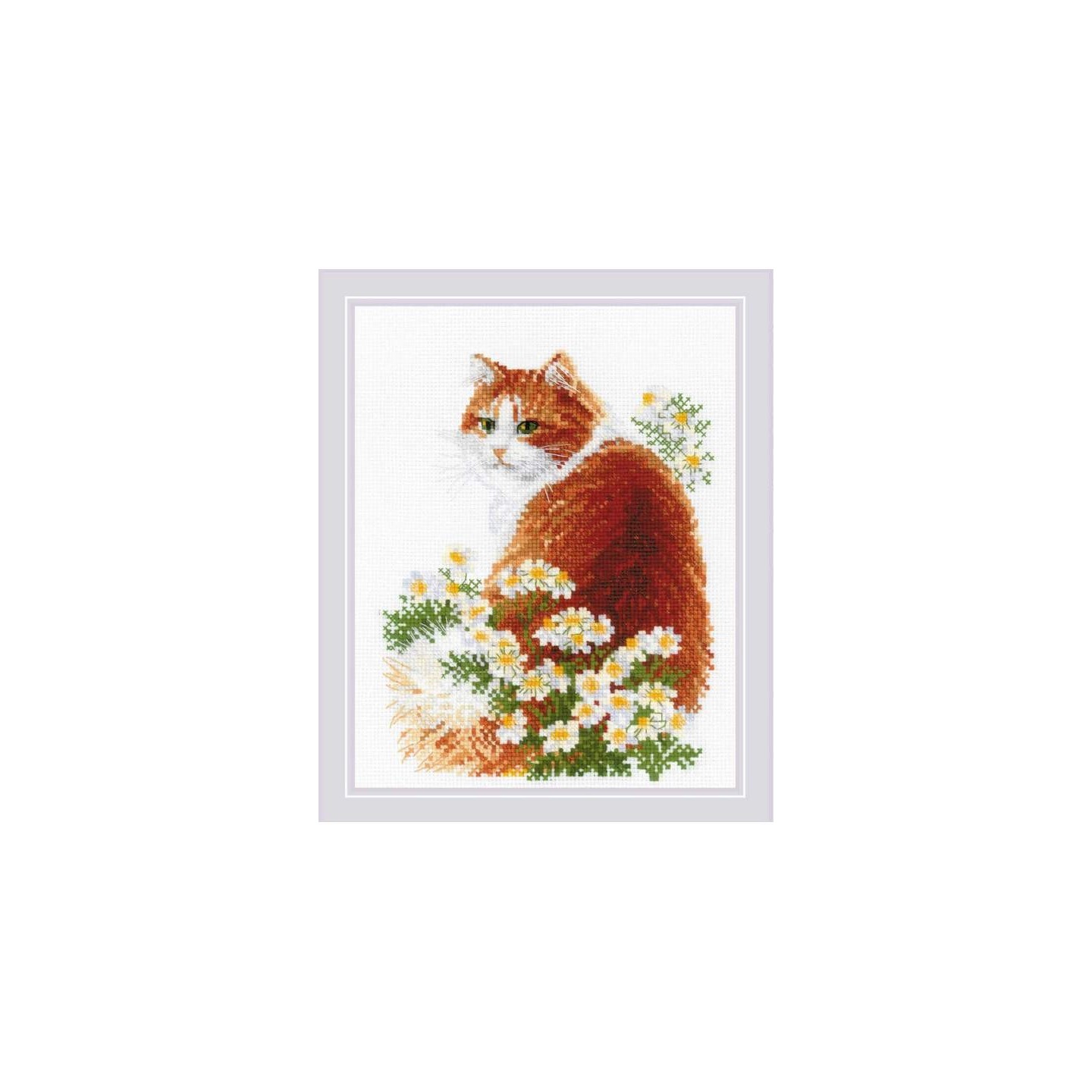 Riolis Stickset Ingwer-Miau