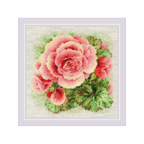 Riolis Stickset Begonia