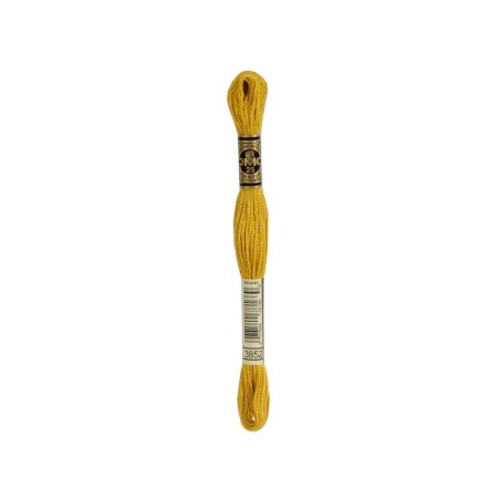 borduurgaren DMC Mouliné 3852