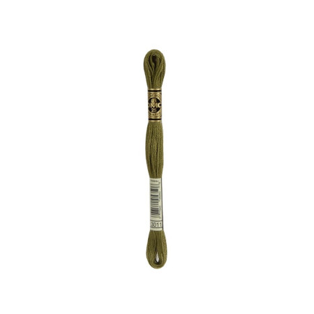 borduurgaren DMC Mouliné 3011