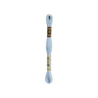 borduurgaren DMC Mouliné 3841