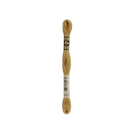 borduurgaren DMC Mouliné 3828