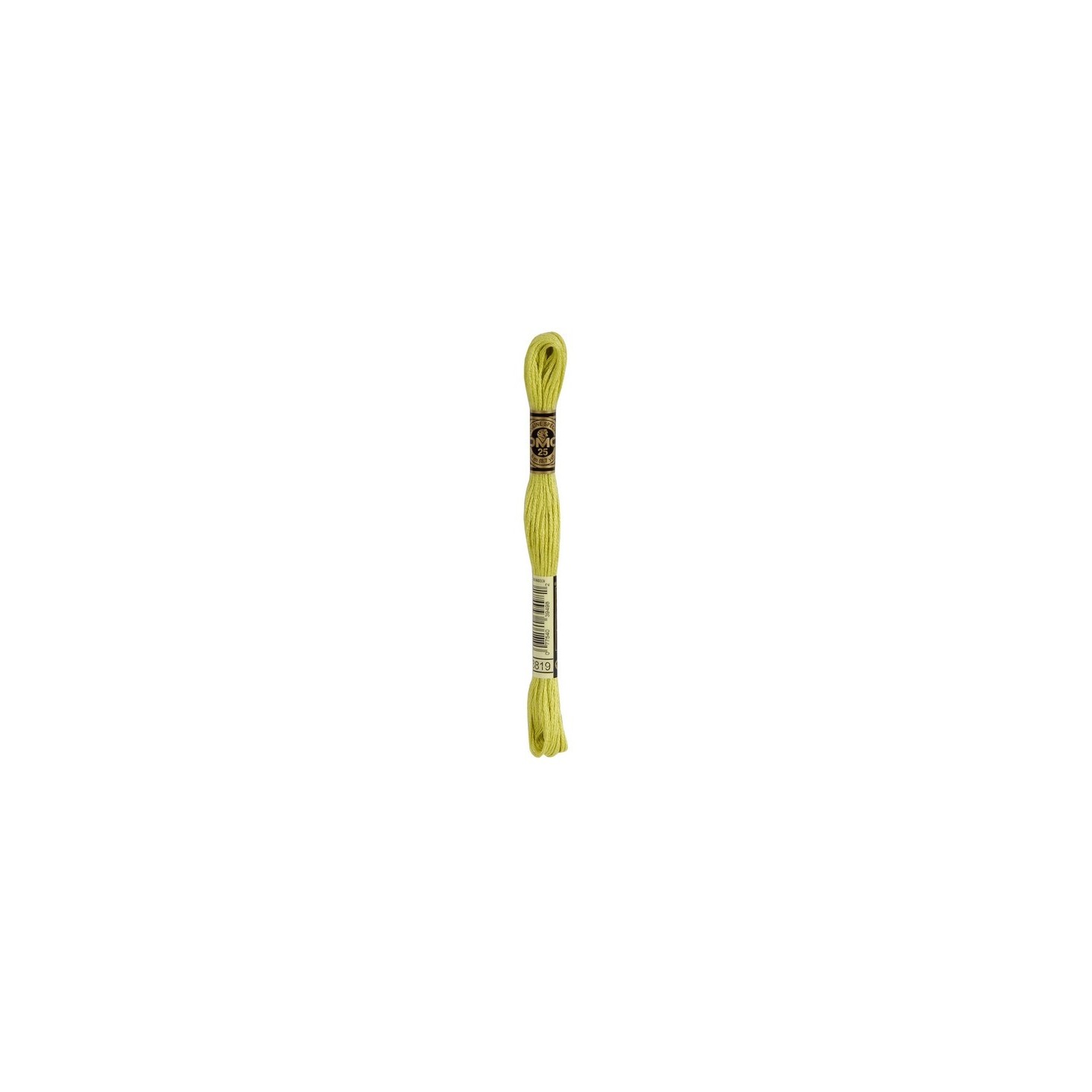 borduurgaren DMC Mouliné 3819