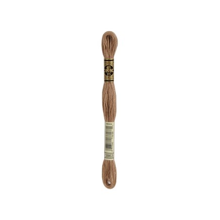 borduurgaren DMC Mouliné 3863