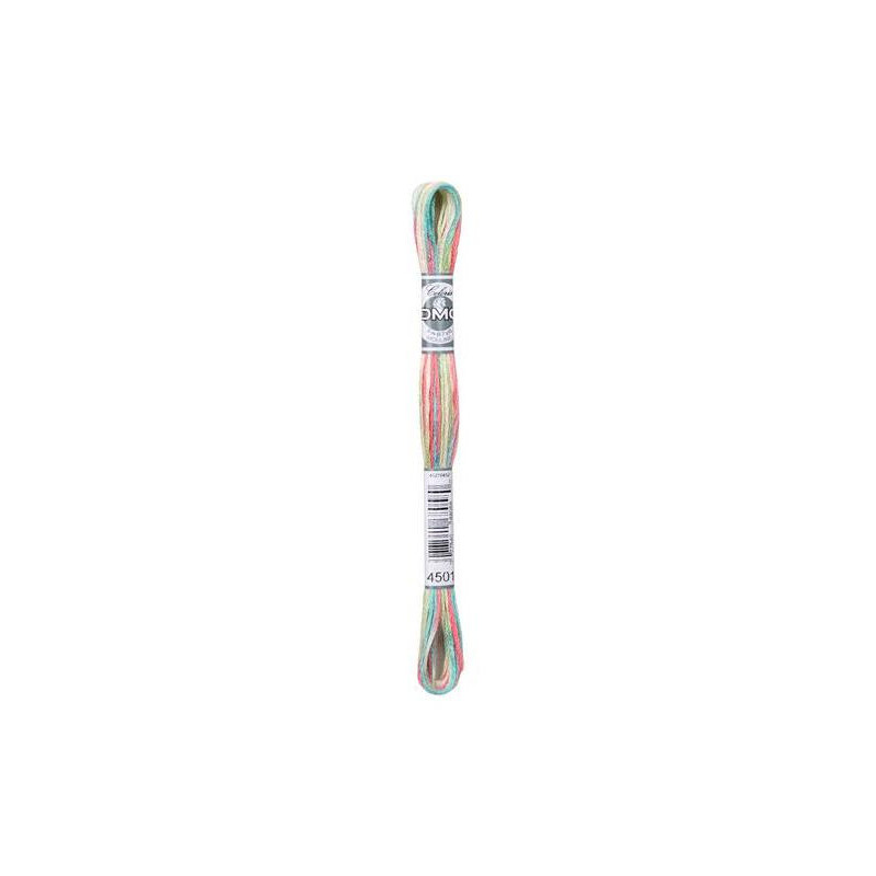DMC Mouliné Coloris 4501