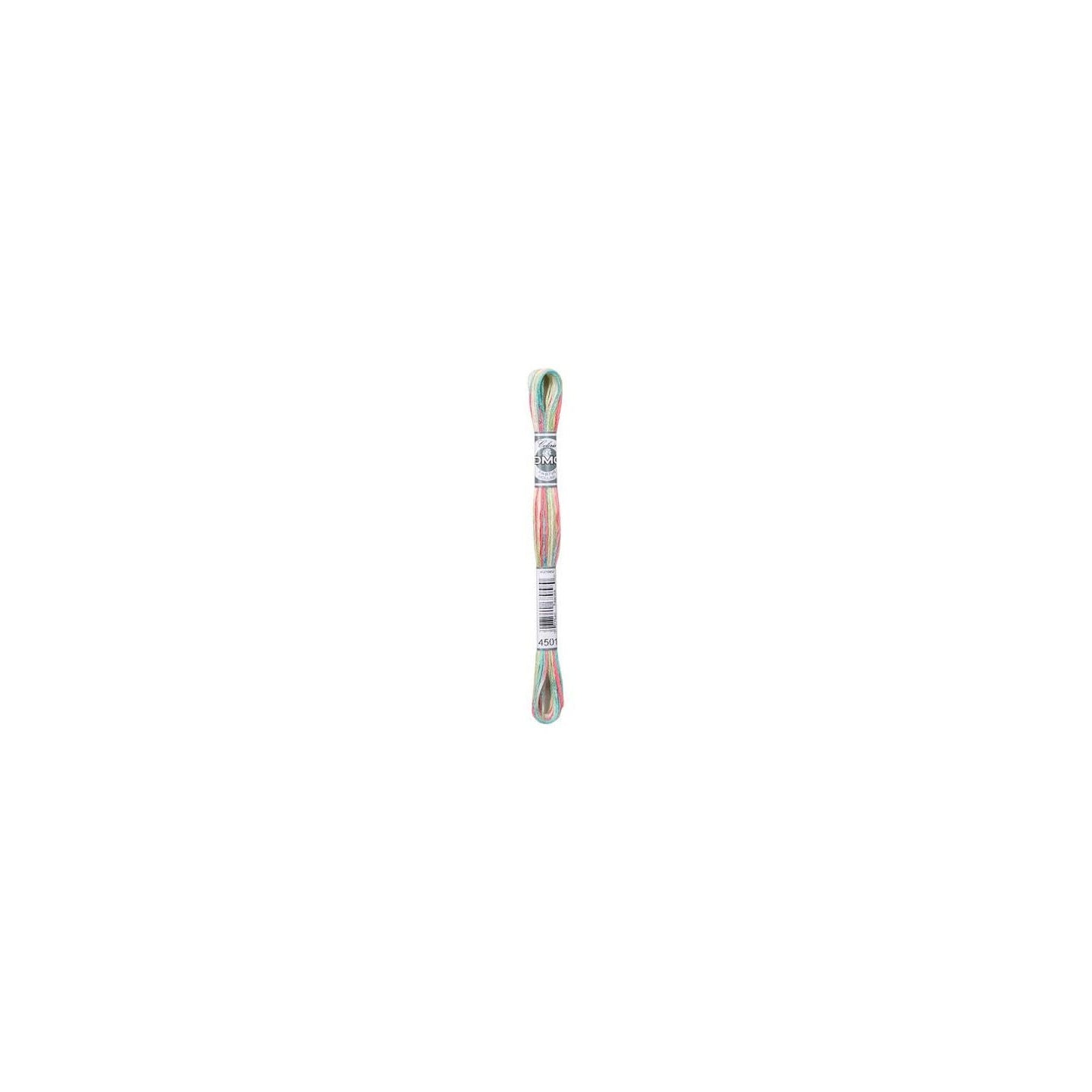 DMC Mouliné Coloris 4501