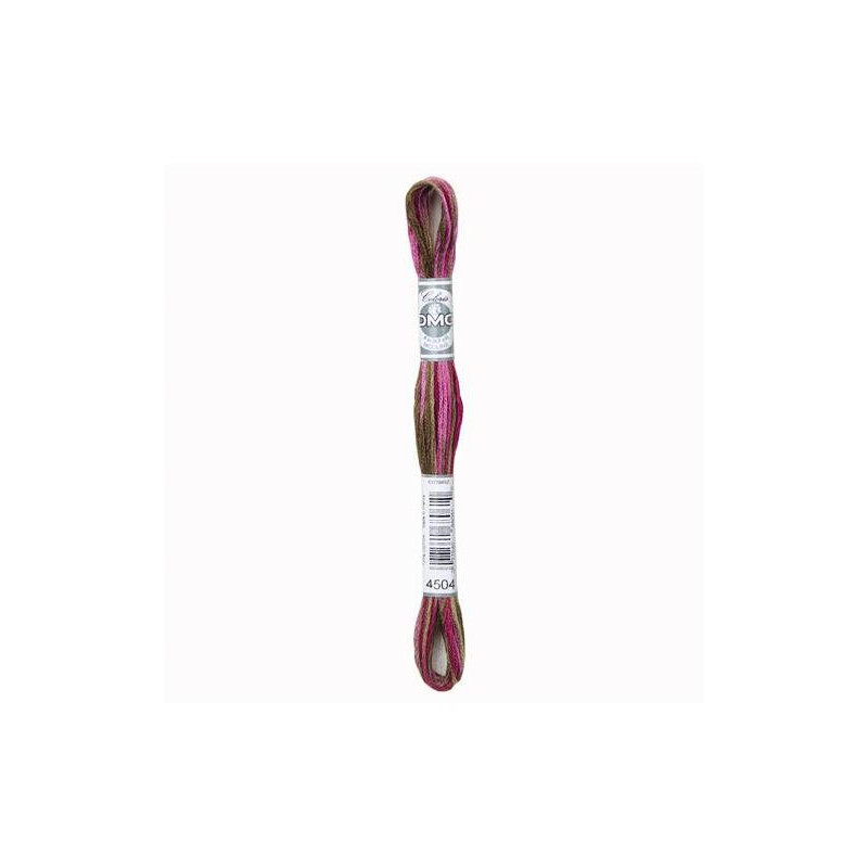 DMC Mouliné Coloris 4504