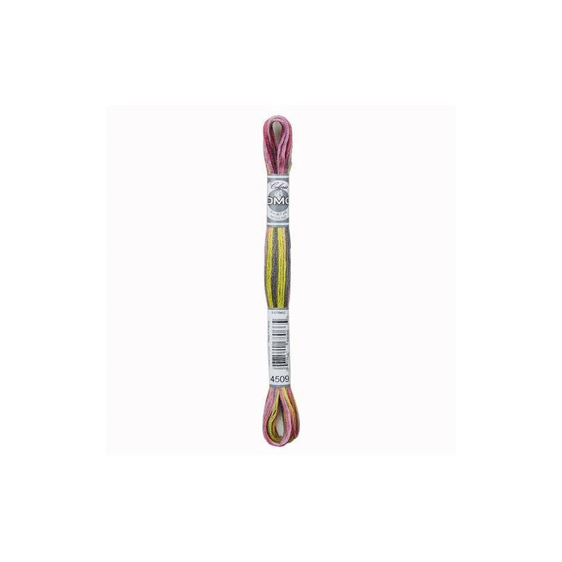 DMC Mouliné Coloris 4509