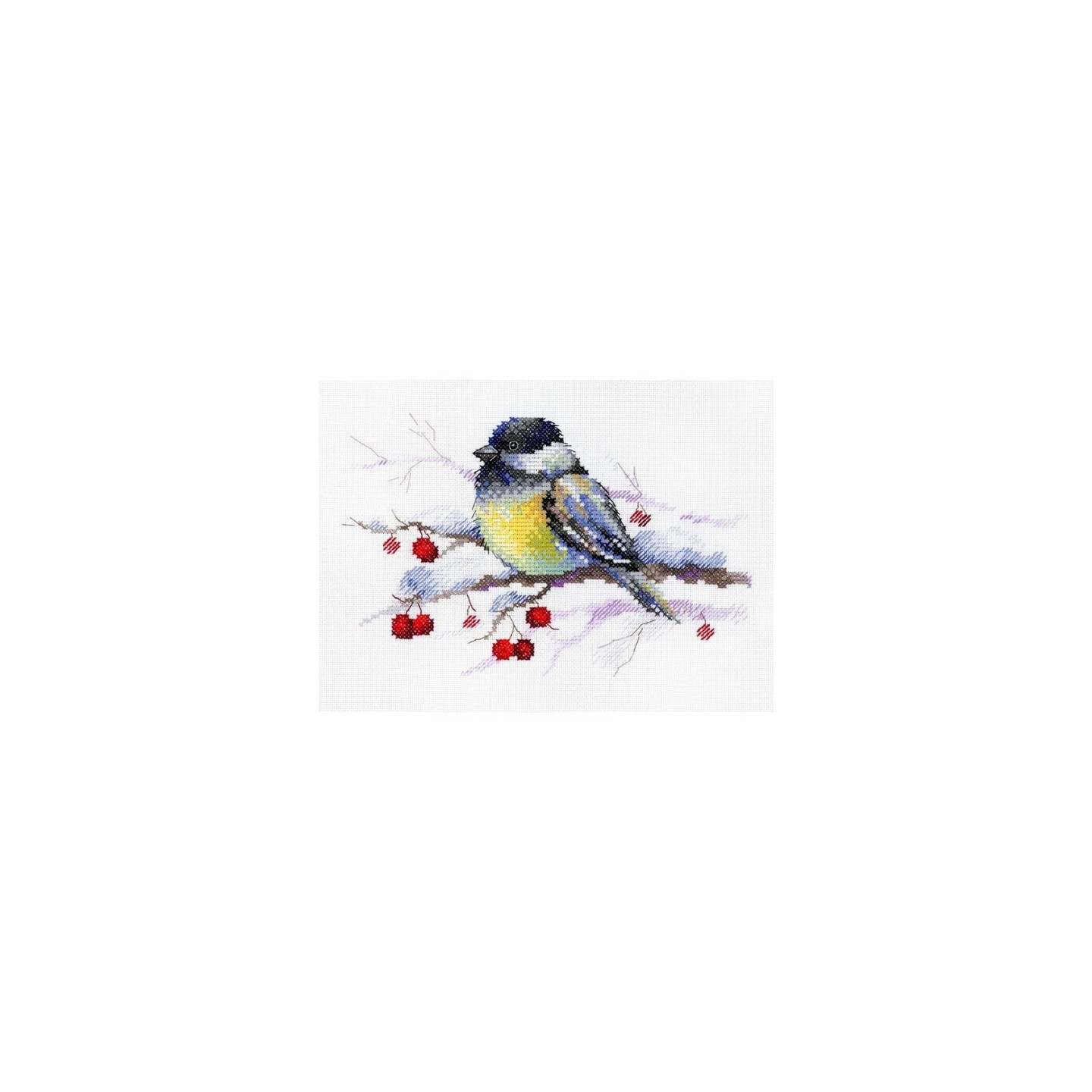 Aquarelle Kit de broderie Mésange pensive