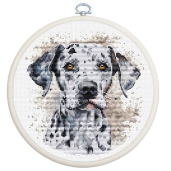 Luca-S Borduurpakket Dalmatiër