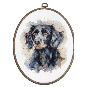 Stickset Border Collie