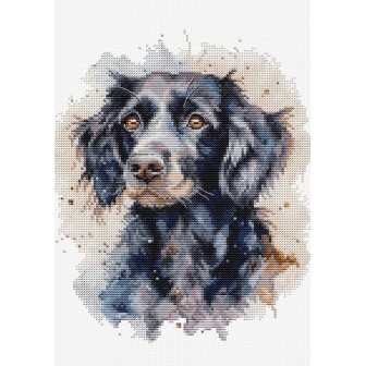 Luca-S Stickset Border Collie