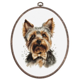 Luca-S Borduurpakket Yorkshire Terrier