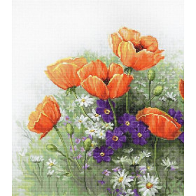 Kit de broderie Coquelicots 5