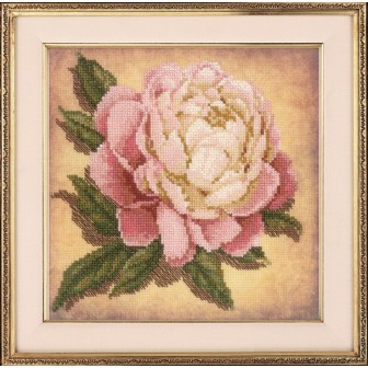 Riolis Kit de broderie Pivoine