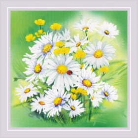 Borduurpakket Kamillebloemen