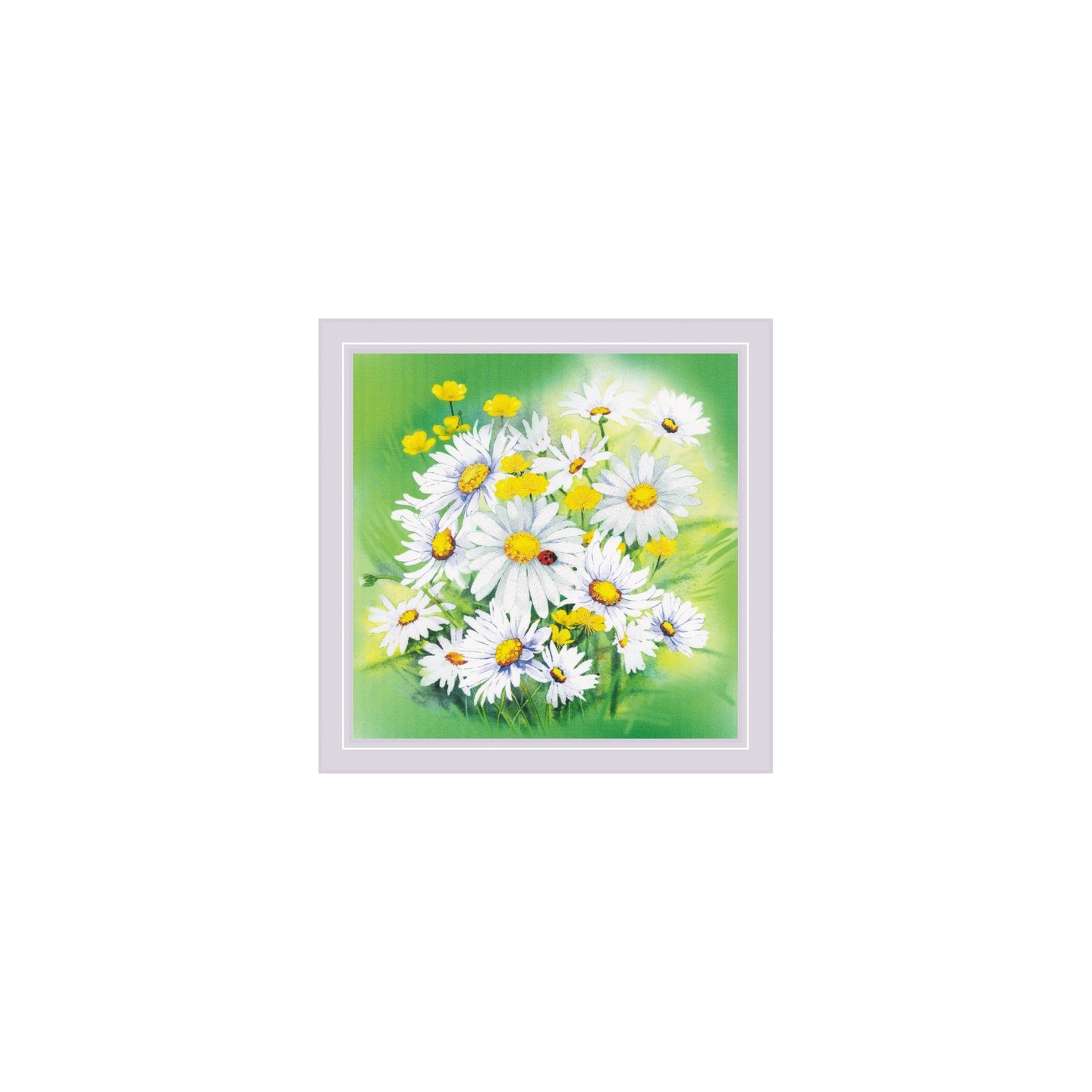 Riolis Embroidery kit Chamomiles